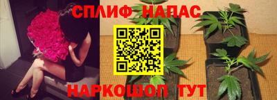 мяу мяу кристалл Ставрополь