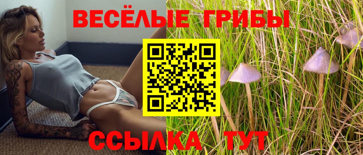Псилоцибиновые грибы GOLDEN TEACHER  Вход с VPN  Мурманск 
